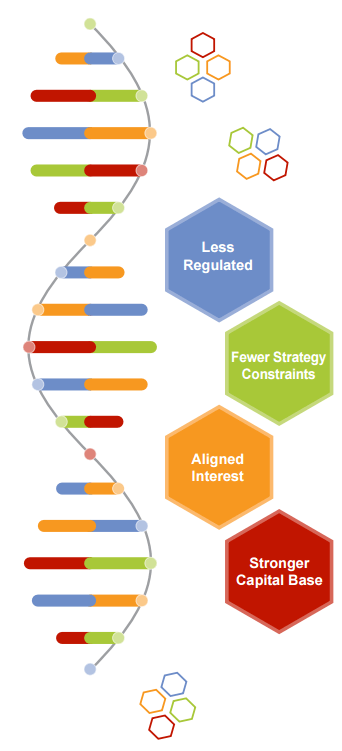 Hedge Fund DNA