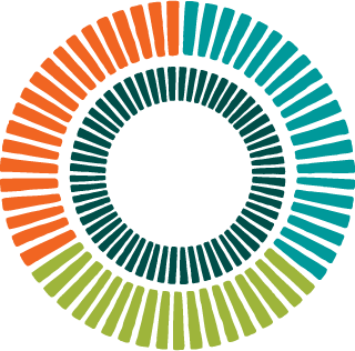 Callan Institute logo