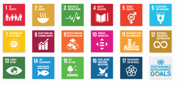 SDG goals